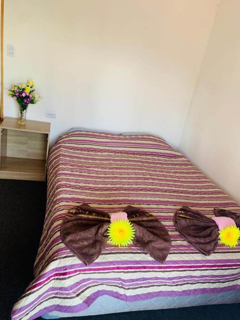 Pua Vaenga Hostel อังกาโรอา ภายนอก รูปภาพ