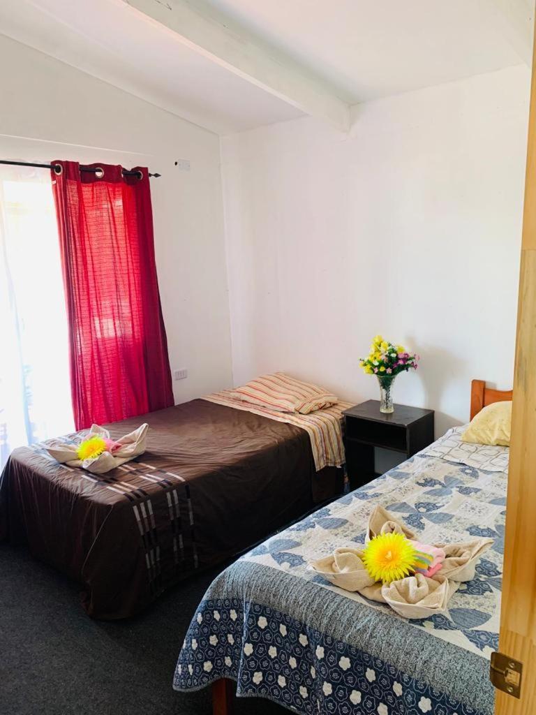 Pua Vaenga Hostel อังกาโรอา ภายนอก รูปภาพ