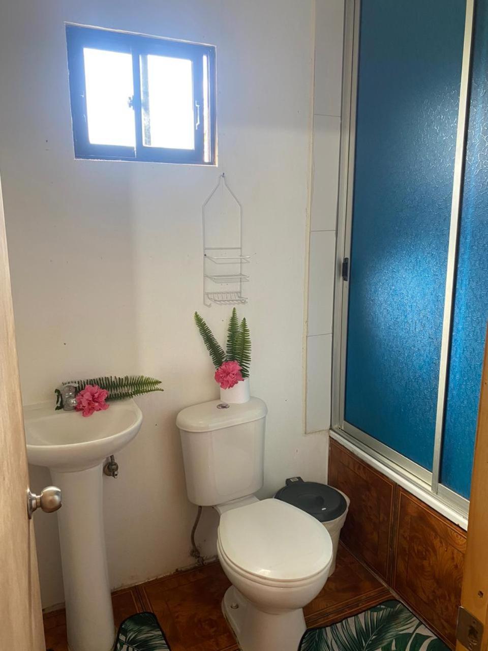 Pua Vaenga Hostel อังกาโรอา ภายนอก รูปภาพ