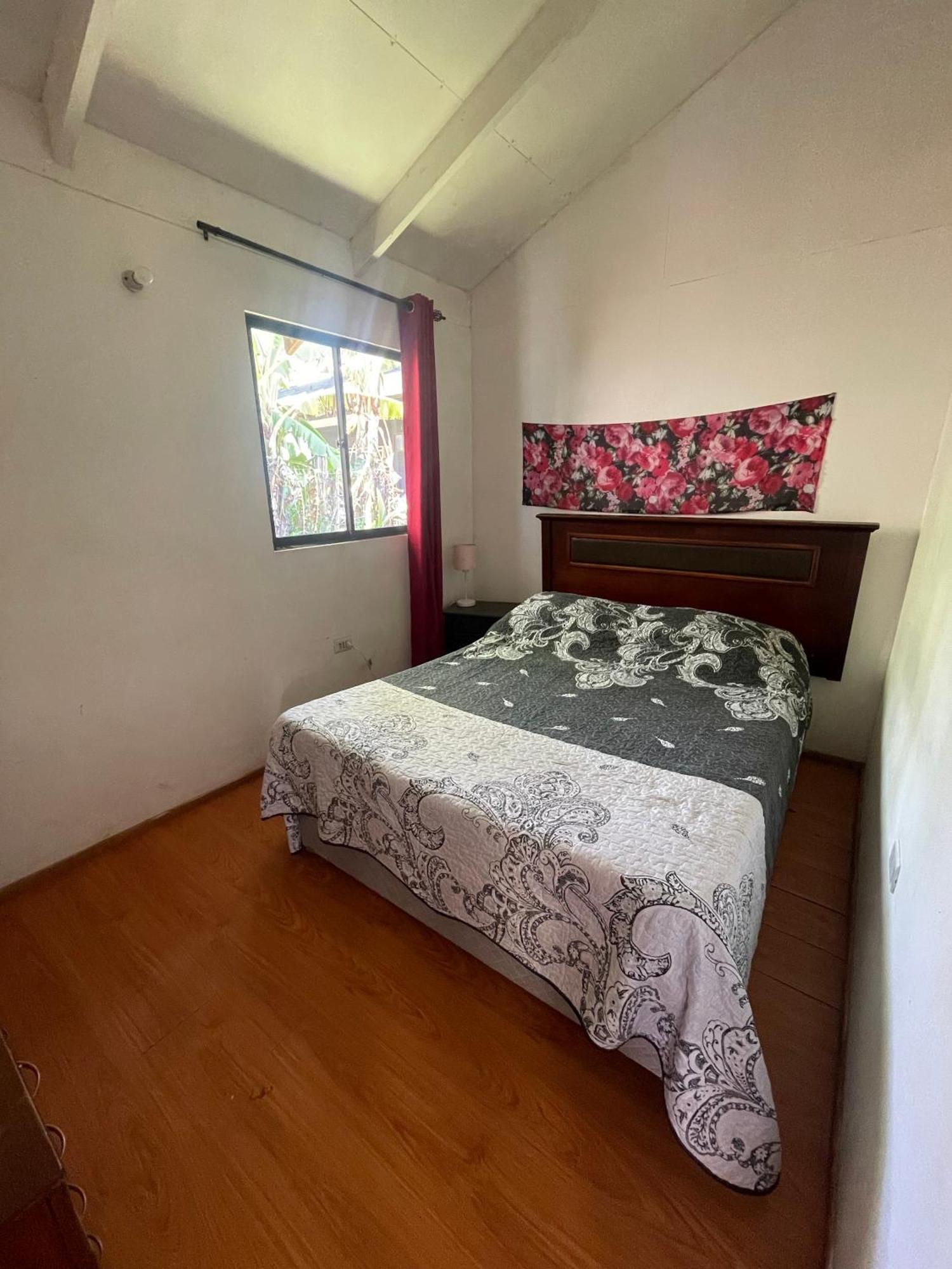 Pua Vaenga Hostel อังกาโรอา ภายนอก รูปภาพ