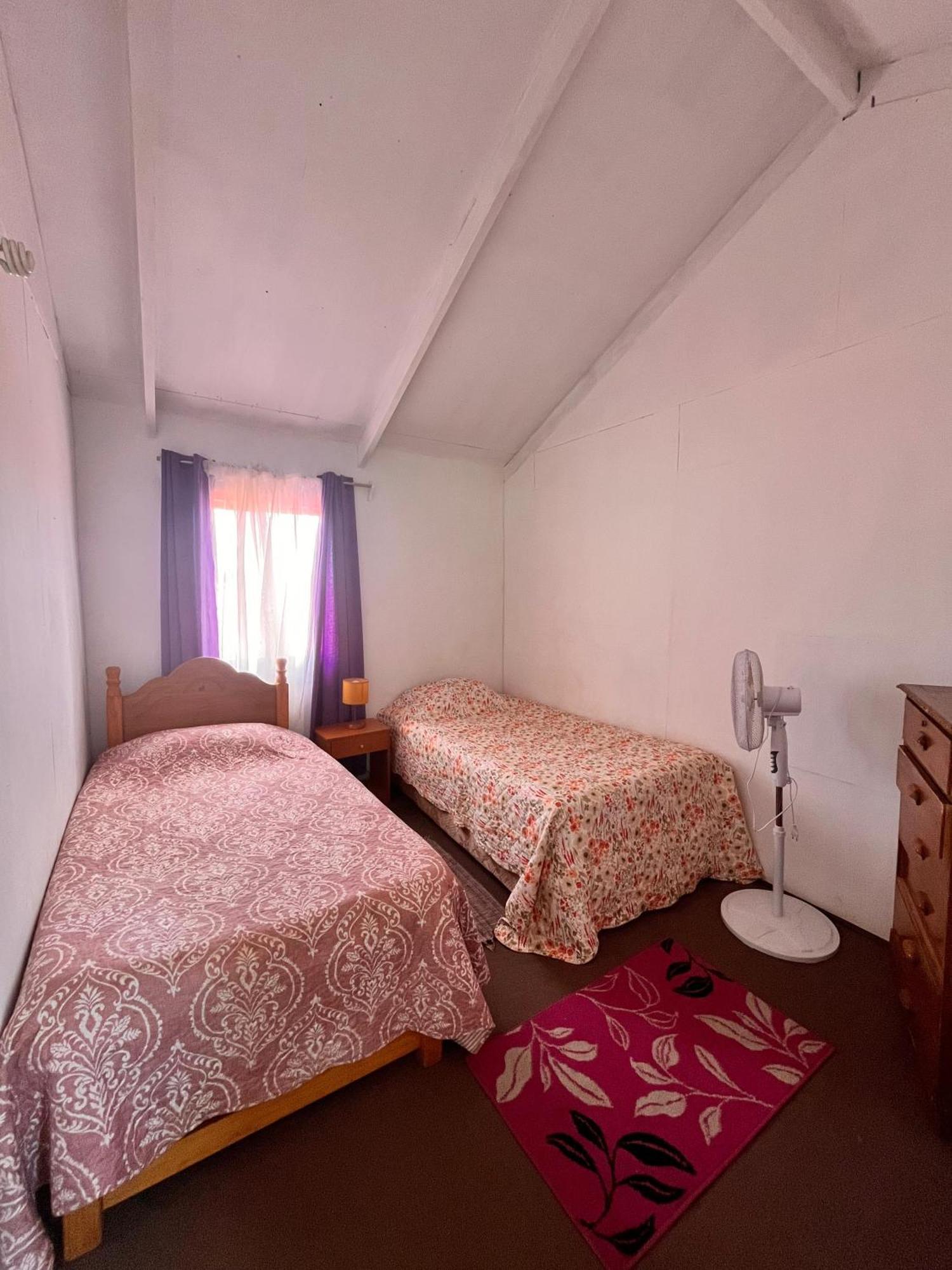 Pua Vaenga Hostel อังกาโรอา ภายนอก รูปภาพ