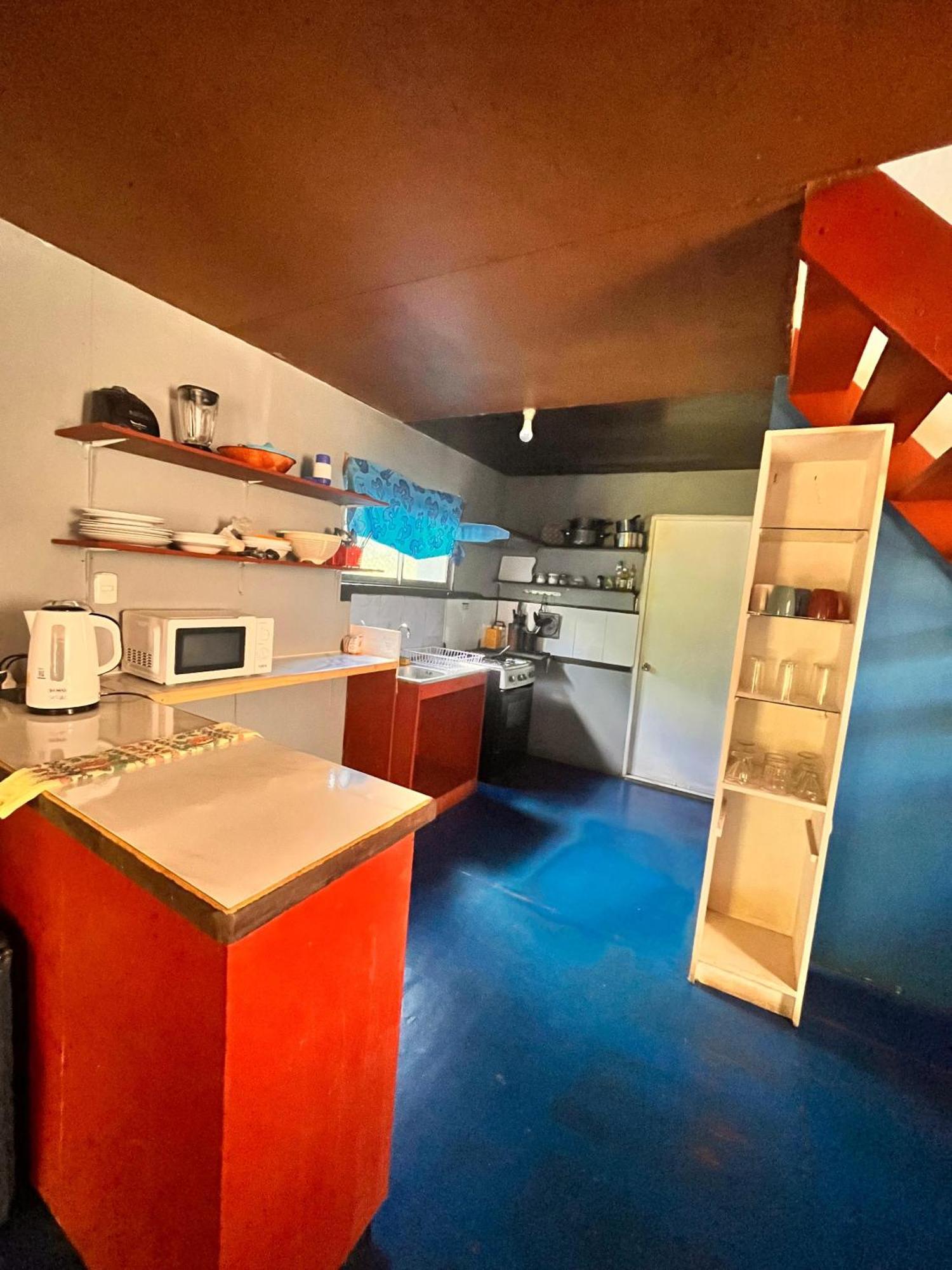 Pua Vaenga Hostel อังกาโรอา ภายนอก รูปภาพ